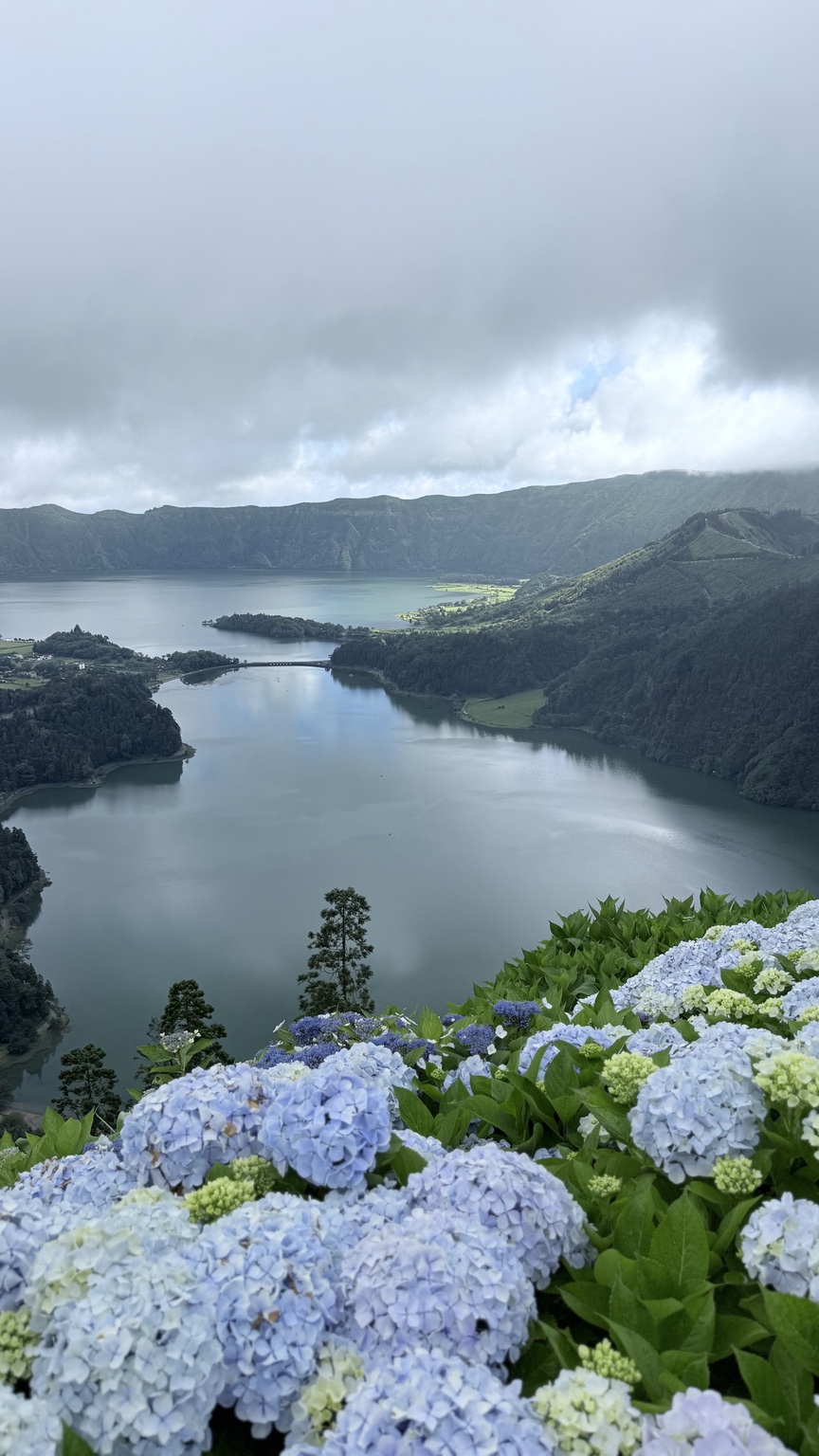 Lago volcánico y hortensias en las Azores